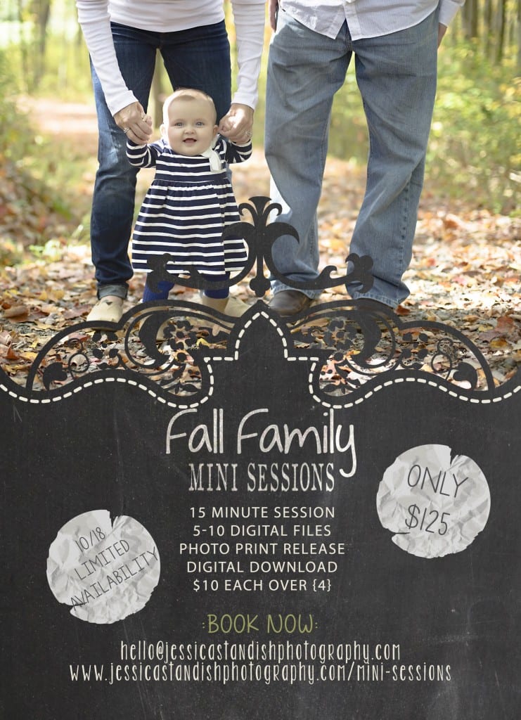 Outdoor Fall Minis will be held at Wright Township Park in Mountain Top
